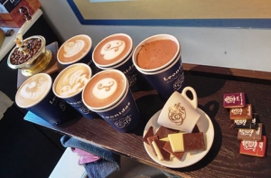 LCC &Nu;&omicron;&sigma;ό&kappa;. &Upsilon;&gamma;&epsilon;ί&alpha;